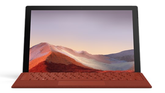 提蒙乡清洁和维护 Surface